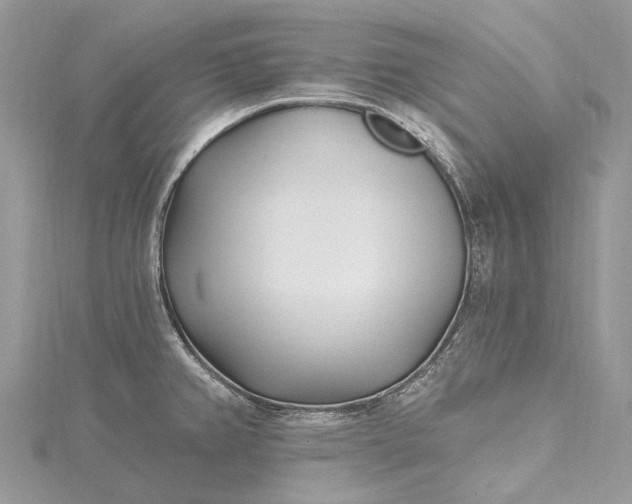 X0000115521382200911201650