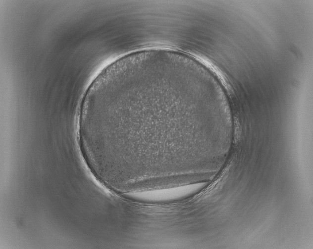 X0000115521383200911201650