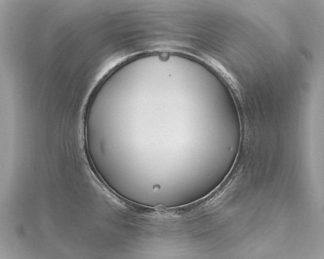 X0000115521384200911201650