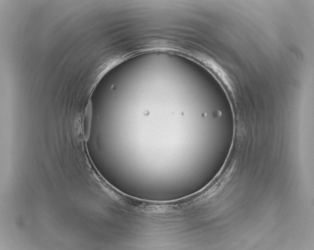 X0000115521385200911201650