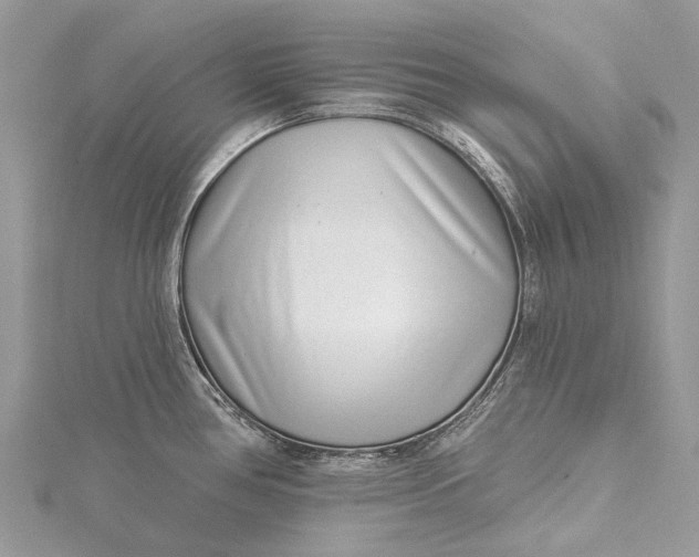 X0000115521386200911201650