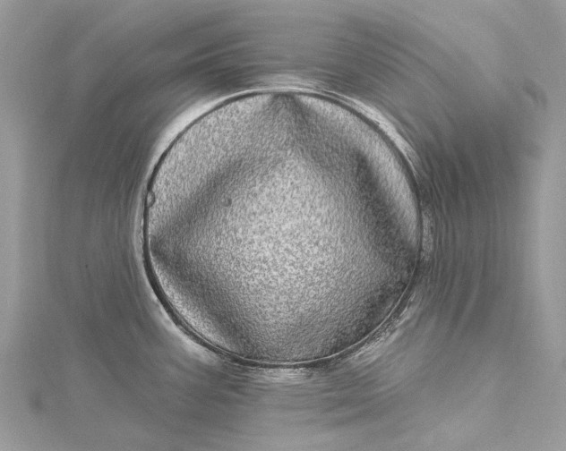 X0000115521387200911201650