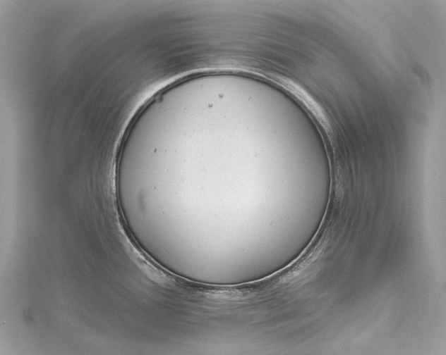 X0000115521388200911201650