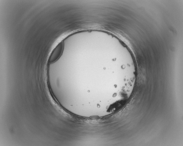 X0000115521389200911201650