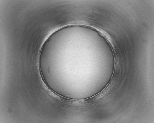 X0000115521390200911201650