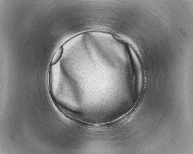 X0000115521391200911201650