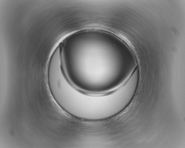 X0000115521392200911201650