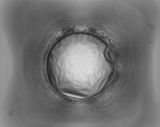 X0000115521393200911201649