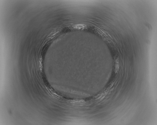 X0000115521394200911201649