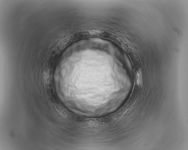 X0000115521395200911201649