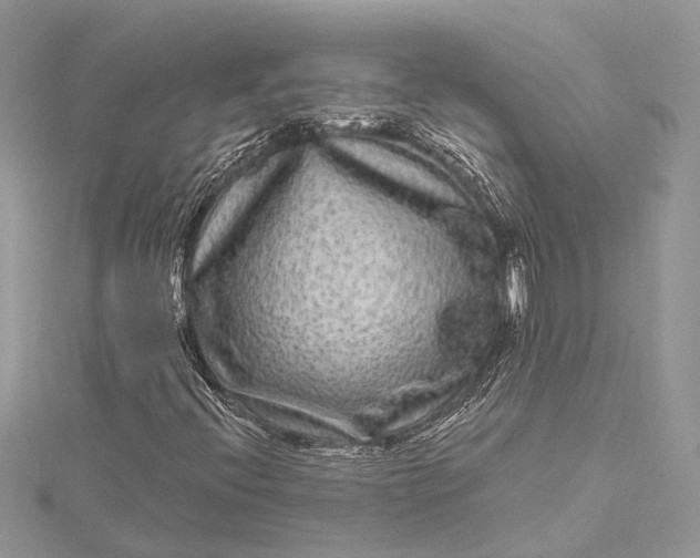 X0000115521396200911201649