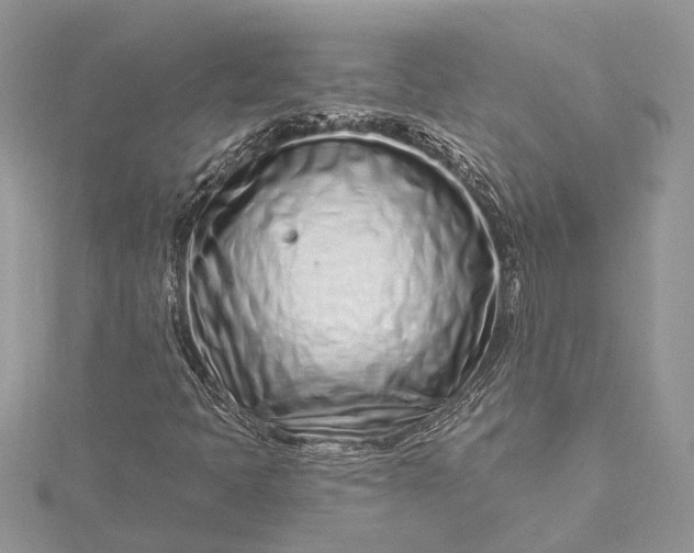 X0000115521397200911201649