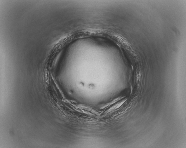 X0000115521398200911201649