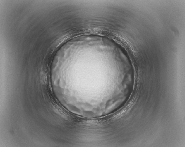 X0000115521401200911201649