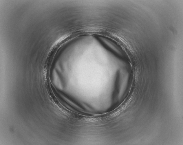 X0000115521402200911201649