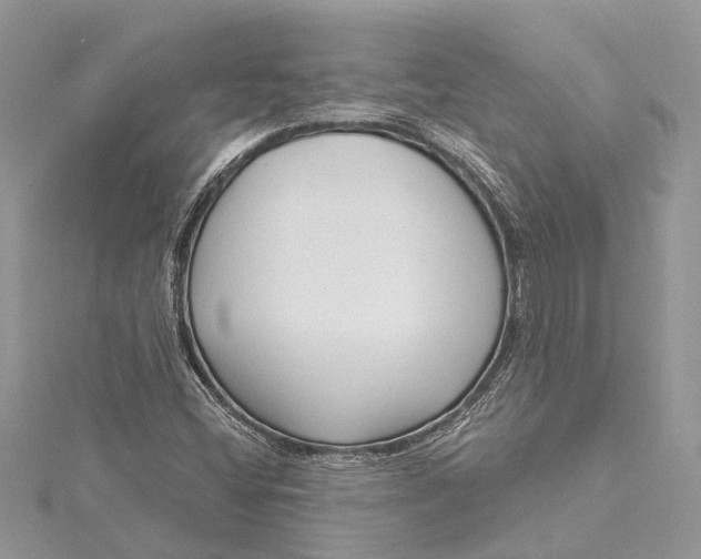 X0000115521404200911201649