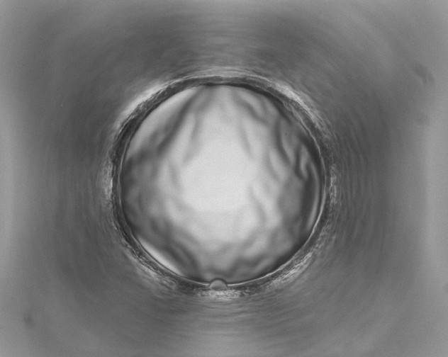 X0000115521406200911201649