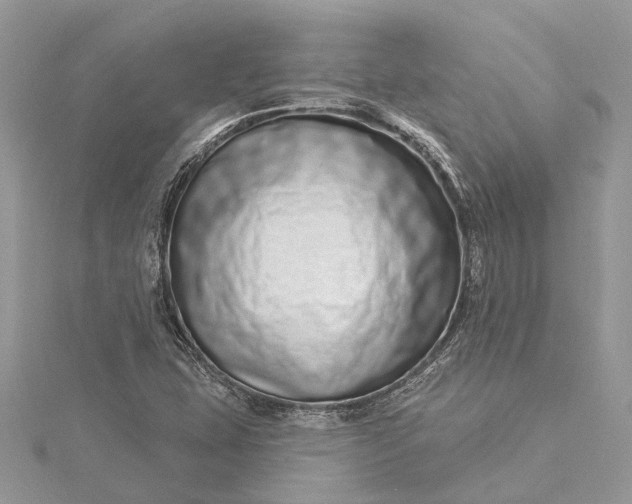 X0000115521407200911201649