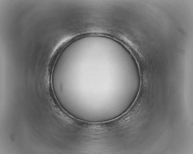 X0000115521408200911201649