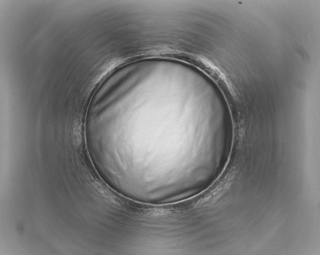 X0000115521409200911201649