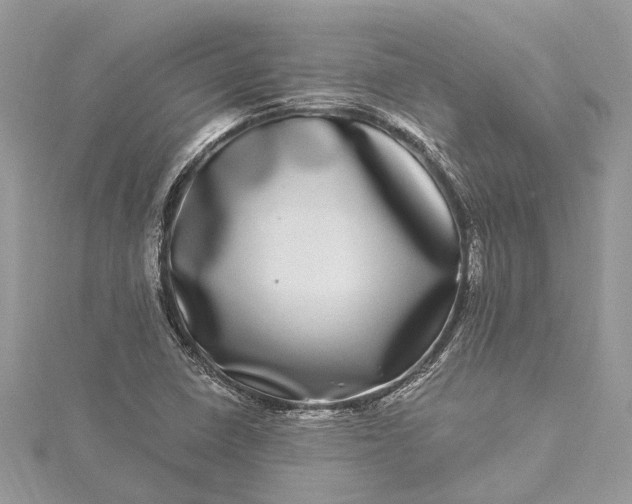 X0000115521410200911201649