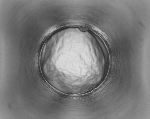 X0000115521411200911201649