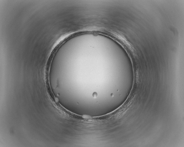 X0000115521412200911201649