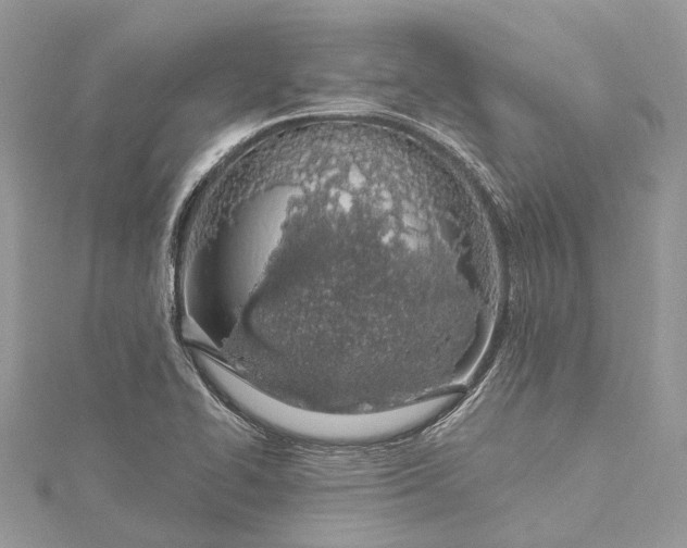 X0000115521414200911201650