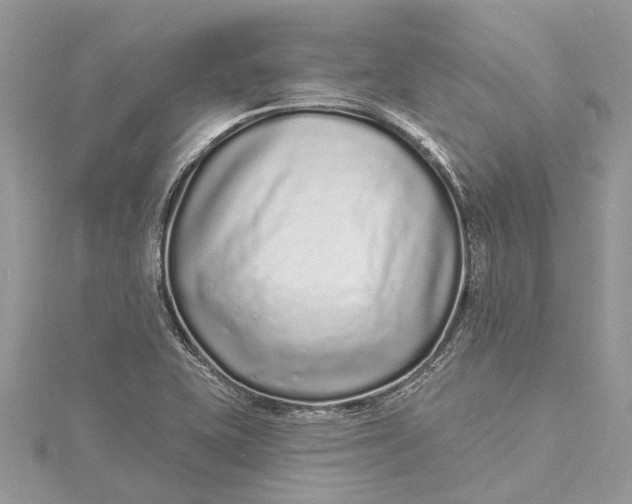 X0000115521415200911201650