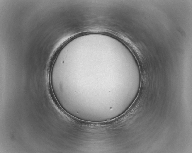 X0000115521416200911201650