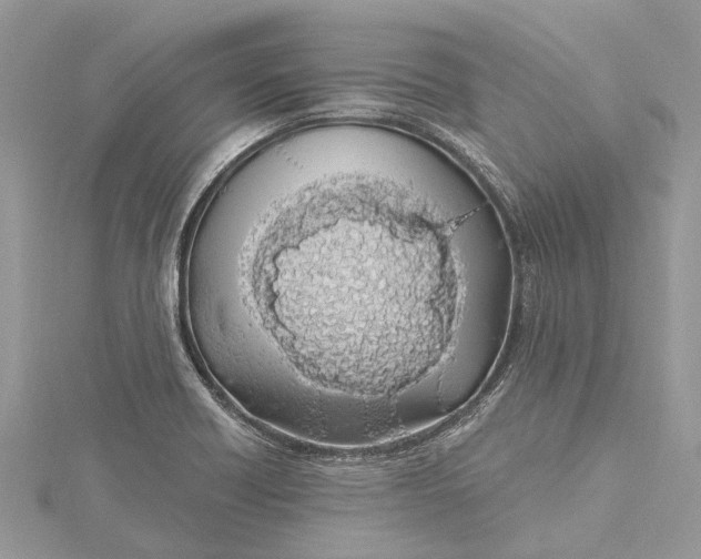 X0000115521418200911201650