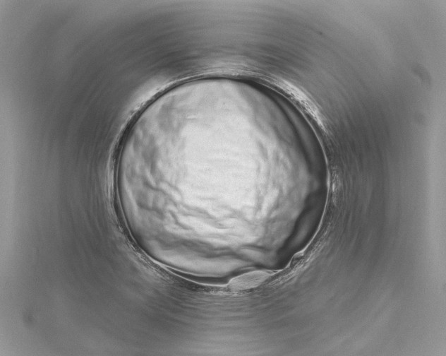 X0000115521419200911201650