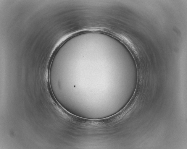 X0000115521420200911201650