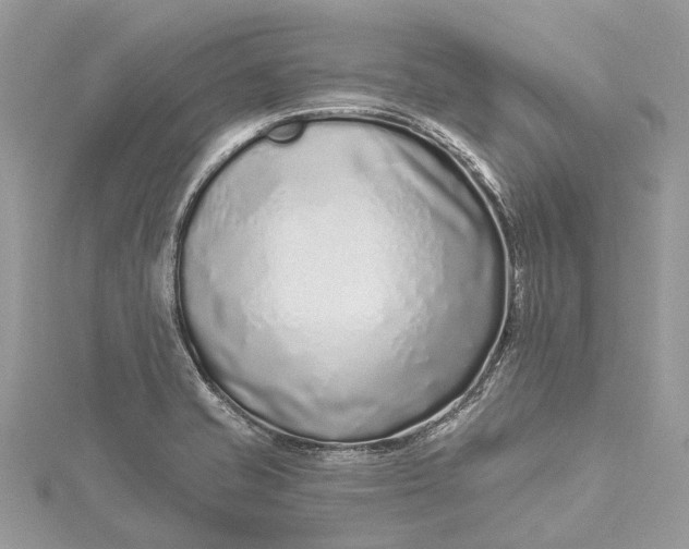 X0000115521421200911201650