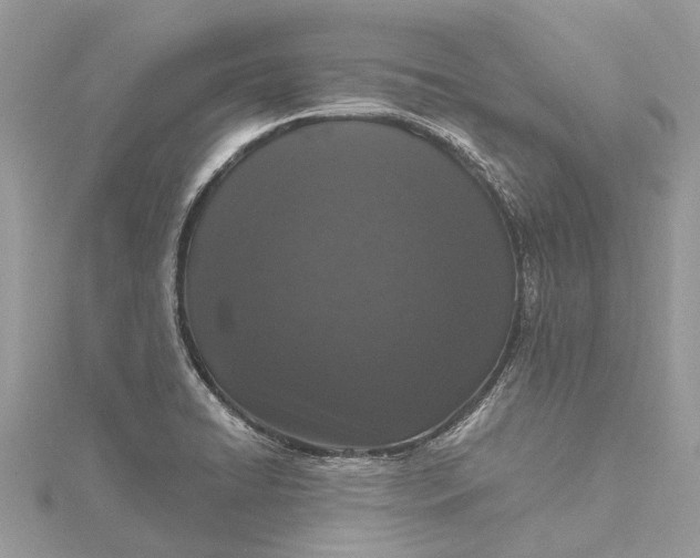 X0000115521422200911201650