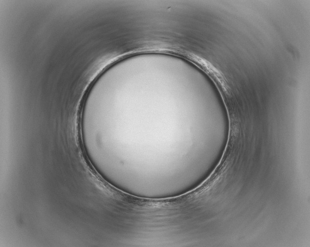 X0000115521423200911201650