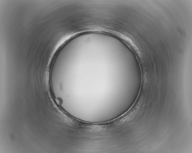 X0000115521424200911201650