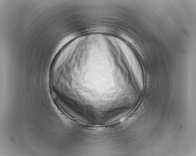 X0000115521426200911201650