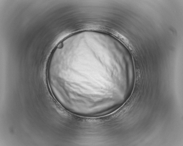 X0000115521427200911201650