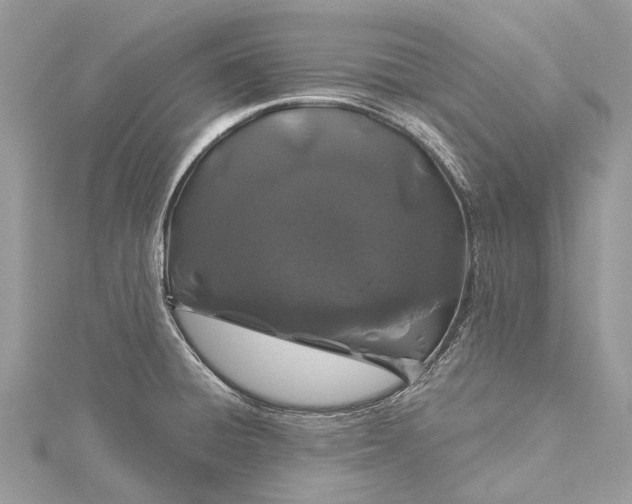 X0000115521428200911201650