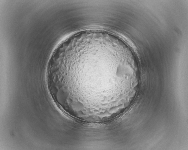 X0000115521429200911201650