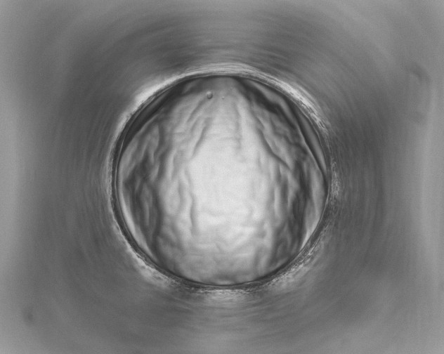 X0000115521430200911201650