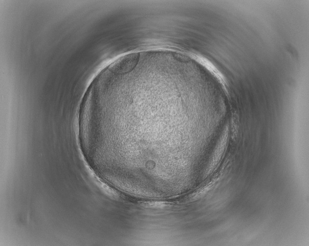 X0000115521431200911201650