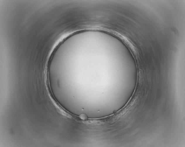 X0000115521432200911201650