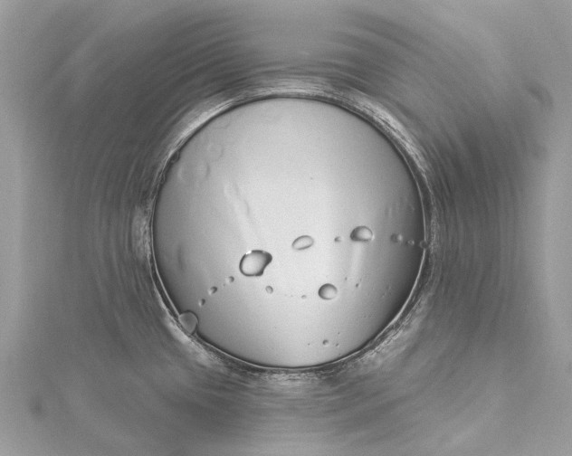 X0000115521433200911201650