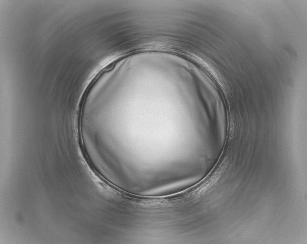 X0000115521434200911201650