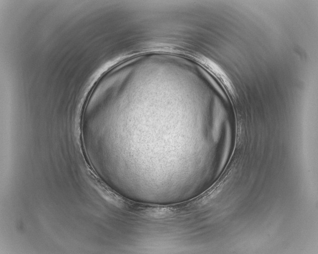 X0000115521435200911201650