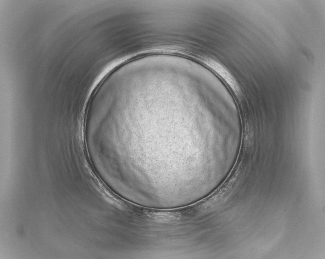 X0000115521436200911201650