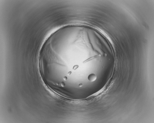 X0000115521437200911201650