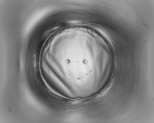 X0000115521438200911201650